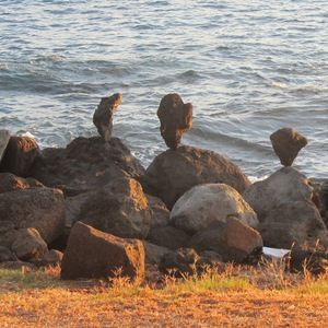 Meet your Posher, Jeff